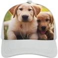 thumbnail image 1 of Cute Golden Retriever Puppy Baseball Cap Classic Golf Cap Soft Dad Hat Multicolor Adjustable Low Profile Hat Unisex, 1 of 6