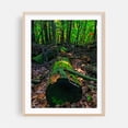 thumbnail image 2 of Tree Stump in the Woods - Photography Forest Nature Autumn Rustic Scenic Botanical Landscape Unframed Wall Art Print 36 x 48 inches, 2 of 4
