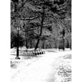 thumbnail image 2 of Grey, Jace 19x24 White Modern Wood Framed Museum Art Print Titled - Central Park Snowy Scene 2, 2 of 4