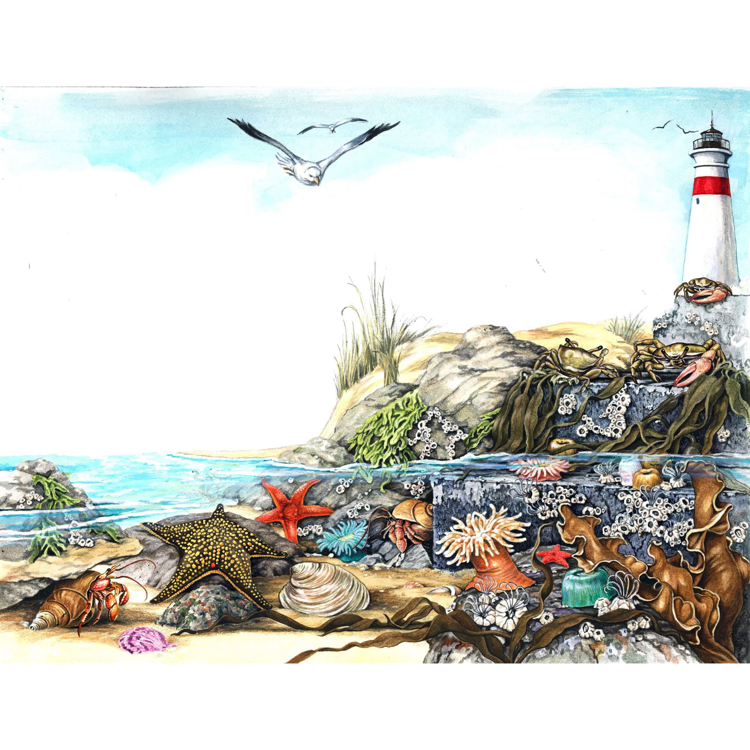 Marmont Hill - "Undersea Life" Painting Print on Wrapped Canvas