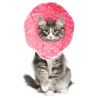 SunGrow Post-Surgery Soft Cone Dog & Cat Recovery Collar, Pink, Medium