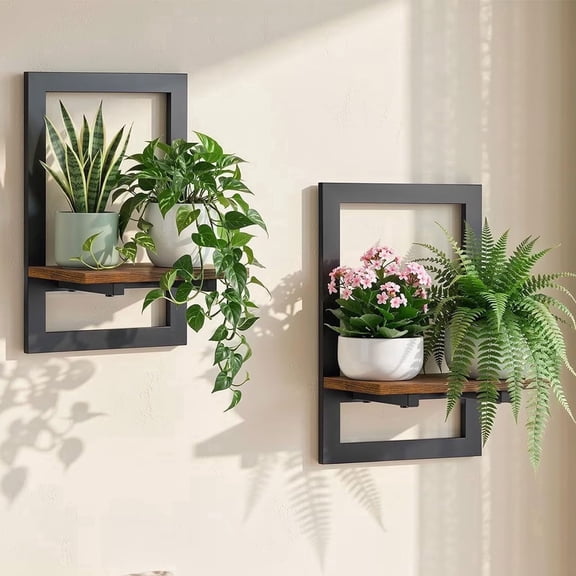 Housolution 2 Pack Wall Mounted Floating Plant Shelves, Hanging Planter Shelf Holder for Indoor Plants, Space Saving Wall Decor for Living Room, Window, Apartment