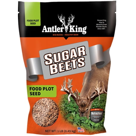 Antler King AKSB1 Sugar beet 1/8 Acre Deer Hunting Food Plot Seeds