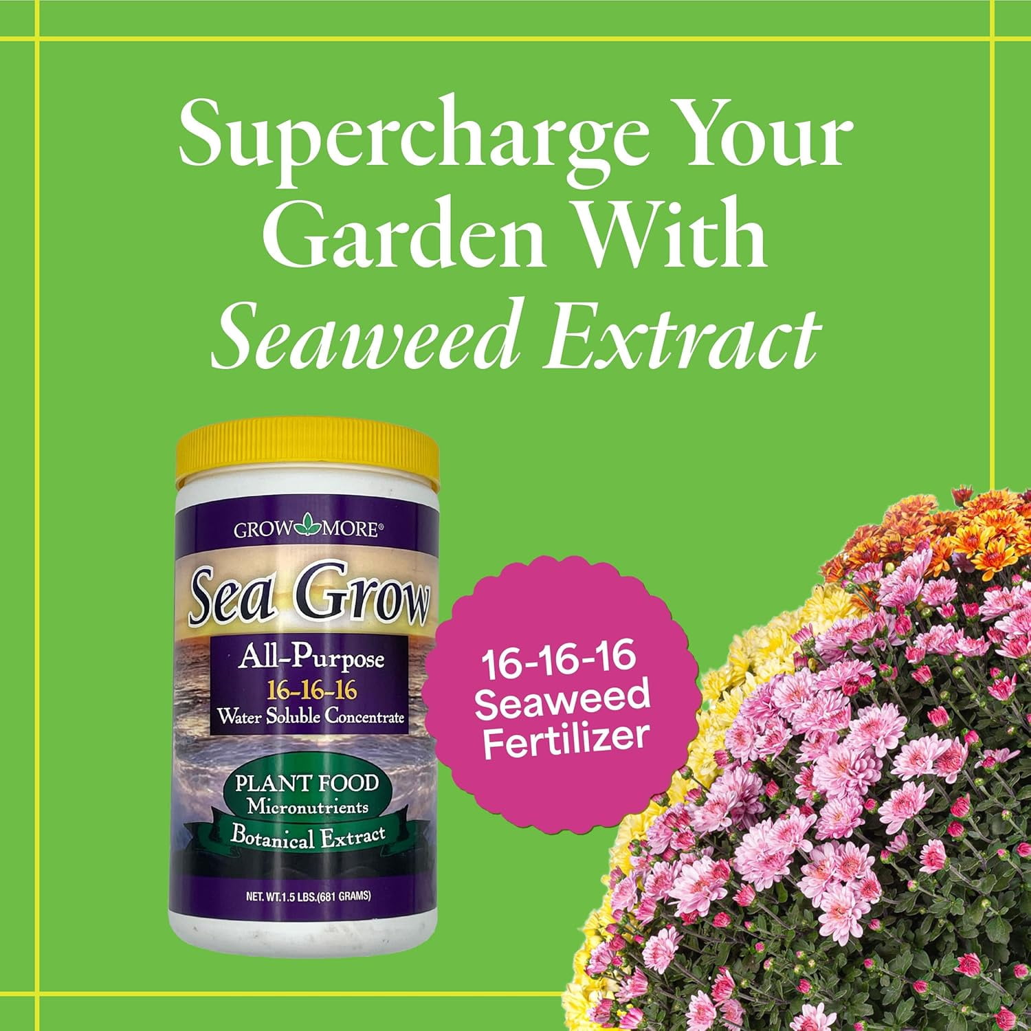 Sea Grow Kelp Fertilizer - 1.5lbs of 16-16-16 Water-Soluble, All-Purpose Plant Food - Nutrient-Rich, Seaweed Fertilizer - Outdoor & Indoor Plant Food