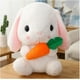 thumbnail image 1 of Almohadas de conejito Conejito de peluche Lindo conejito Muñeca Conejo de peluche Juguetes Regalo para niños Niñas Mujeres Novia en cumpleaños Navidad Día de San Valentín Pascua, 1 of 5