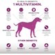 thumbnail image 2 of Suplemento Multivitamínico 10en1 Glucosamina Vitaminas Esenciales Probióticos Salud general Perros PetHonesty PH-885485S, 2 of 2