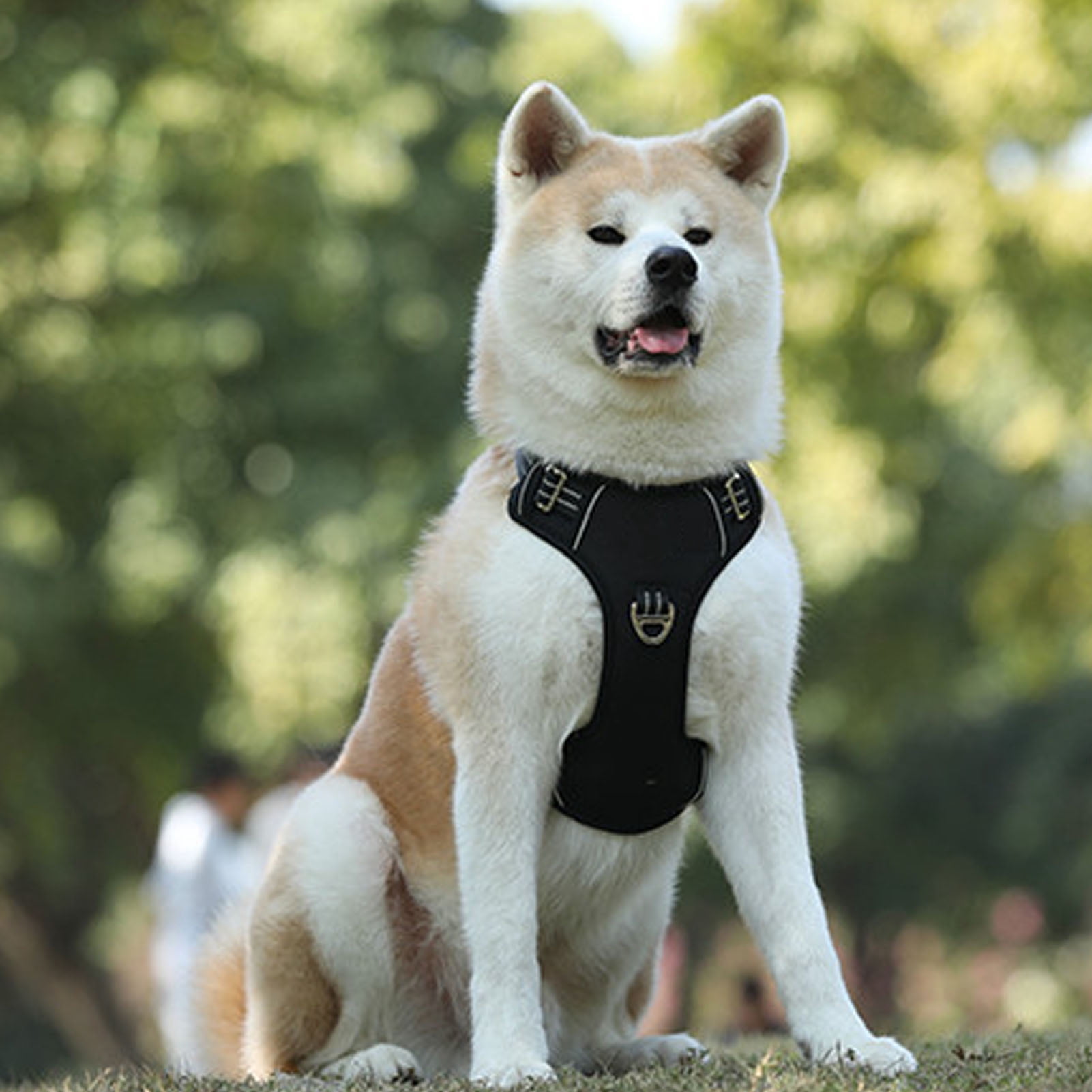 Rupoun Pet Sports Harness Adjustable Dog Chest Harness Lightweight Breathable Dog Vest for Running Walking Training Black 11.81 inches / 30 cm