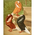 thumbnail image 2 of Gustav Prütz 15x18 Gold Ornate Wood Frame and Double Matted Museum Art Print Titled - C. Cucullata (1884-1886), 2 of 4