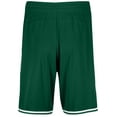 thumbnail image 6 of Holloway Sportswear S Boys RETRO BASKETBALL SHORTS Forest/White 224277, 6 of 6