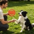 thumbnail image 4 of ZZHZGZ on Sale with Handles Floating Training Activity Flyer, 4 of 6