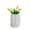 C, variant on Modern Ceramic Decorative Vase Creative Desktop Ornament Minimalist Home Decor Accent Piece for Living Room Office Entryway Tabletop Display