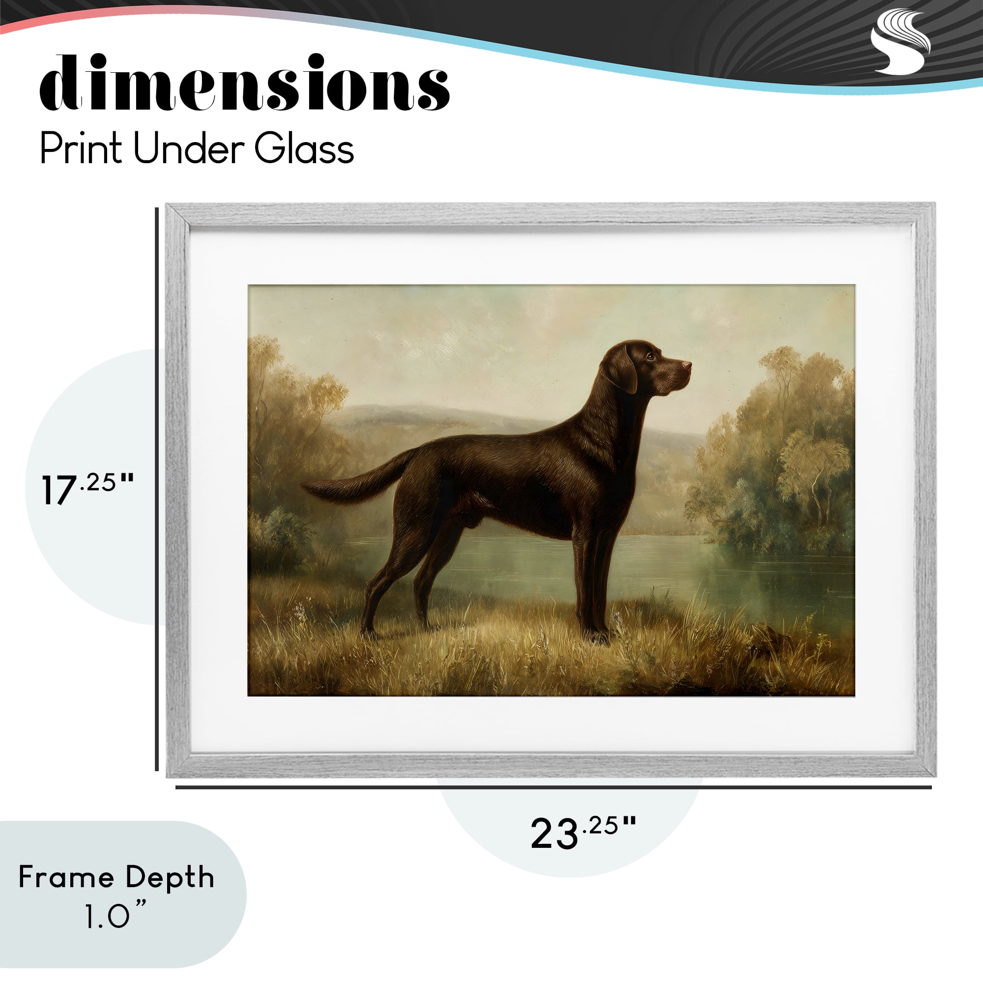Stupell Industries Chocolate Brown Labrador Gray Framed Print Under Glass, design by Petal Prints Design