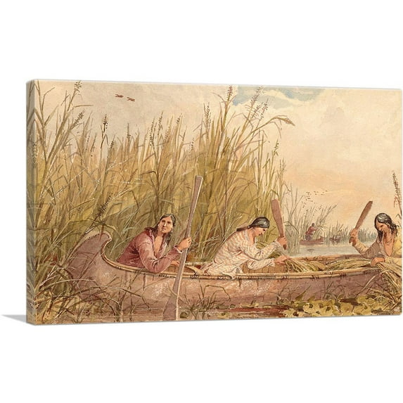 ARTCANVAS Gathering Wild Rice Canvas Art Print by Seth Eastman - Size: 40" x 26" (1.50" Deep)