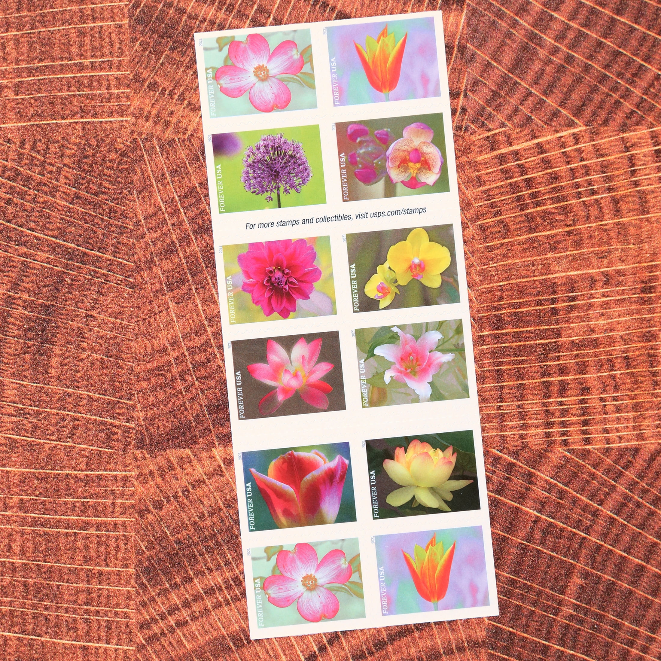 Garden Beauty Forever USPS Postage Stamps, Book of 20, First Class  display picture 1
