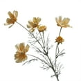 thumbnail image 2 of Ludlz Flower Head White Artificial Gerbera Fake Flowers Heads for Wedding Party and DIY Craft Artificial Flower Waterproof Realistic Silk Fabric Daisies Artificial Flower for Home Decor, 2 of 8