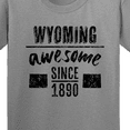 thumbnail image 4 of Inktastic Wyoming Awesome Since 1890 Youth T-Shirt, 4 of 5