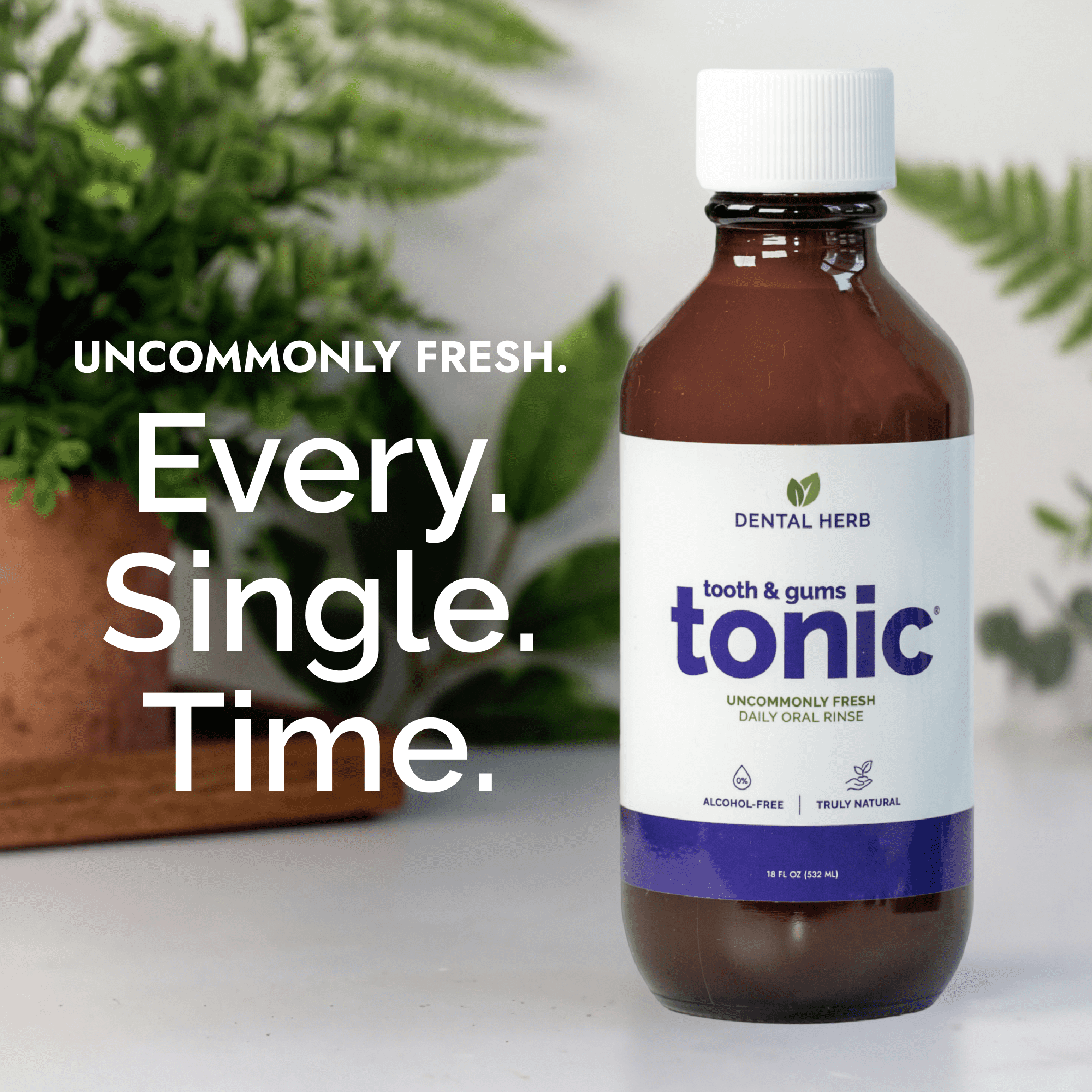 Tooth & Gums Tonic – Truly Natural Oral Rinse, Plant-Based, Alcohol-Free, Fluoride-Free, Herbal Extracts & Essential Oils, Fresh Breath & Daily Gum Care, 18 fl oz – Dental Herb Company