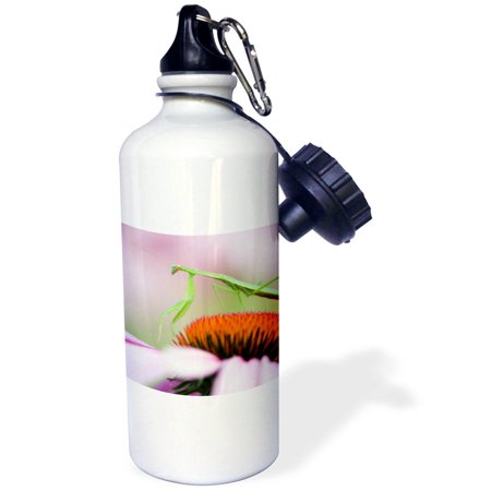 3dRose Praying Mantis insect, Pennsylvania - US39 RKL0008 - Raymond Klass, Sports Water Bottle, 21oz