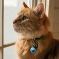 thumbnail image 2 of Sesame Street Cookie Monster Face Chrome Plated Metal Pet Dog Cat ID Tag, 2 of 4
