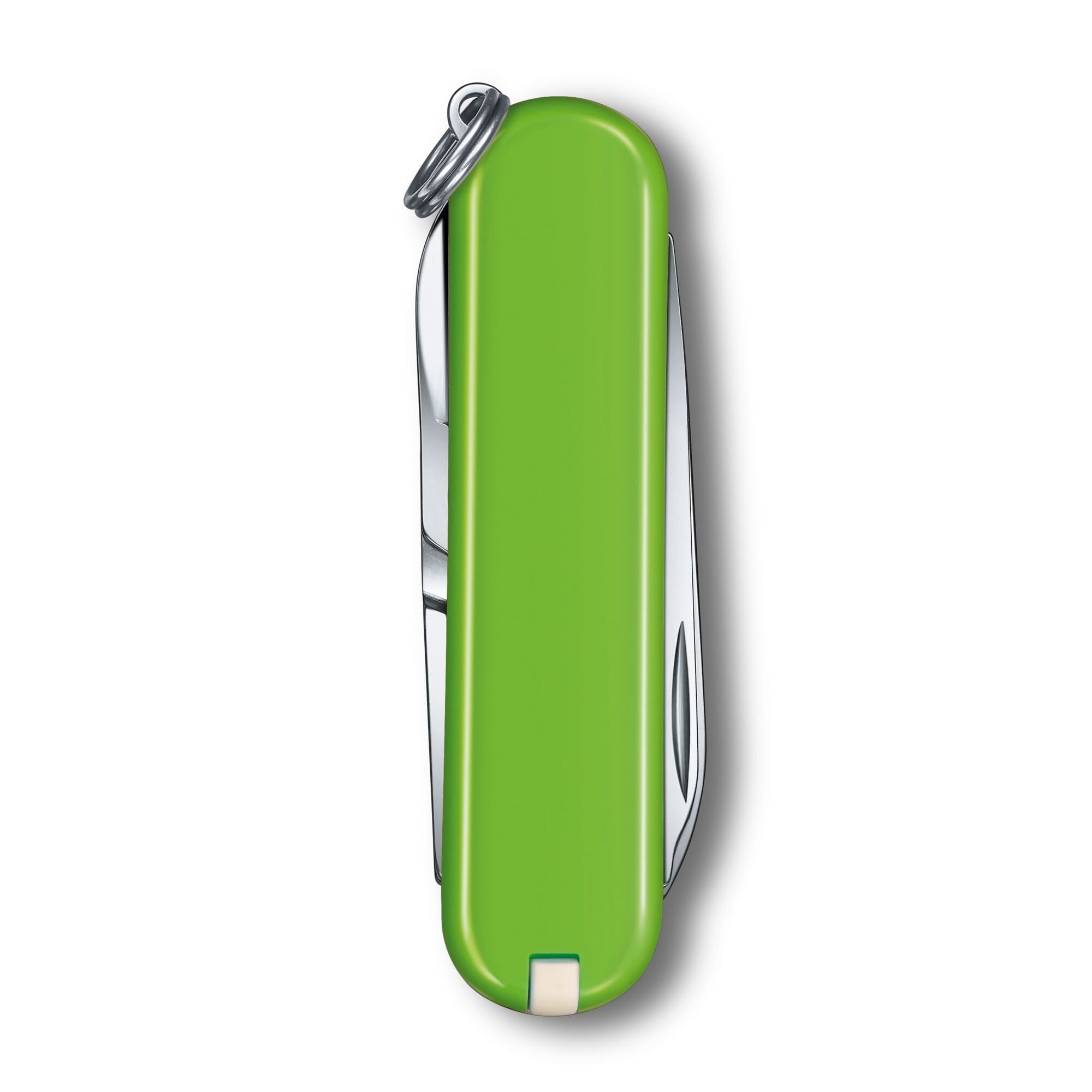 Victorinox Classic SD Swiss Army Knife, Compact, 7 Functions, Swiss Made Pocket Knife with Small Blade, Screwdriver and Key Ring - Green, Blister