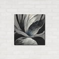 thumbnail image 3 of Luxe Metal Art 'Flowers Black White 25' by Ray Heere, Metal Wall Art, 24"x24", 3 of 8