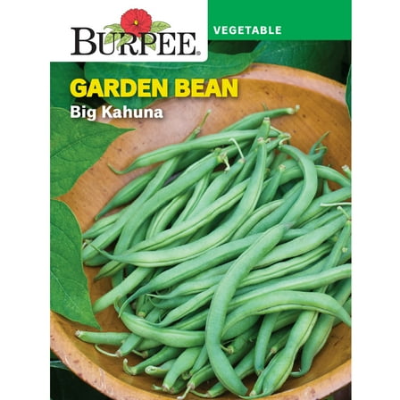 Burpee Big Kahuna Garden Bean Seeds - Non-GMO, Bush Bean, Vegetable Gardening Seeds, 18g, 1-Pack