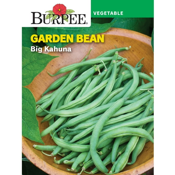 Burpee Big Kahuna Garden Bean Seeds - Non-GMO, Bush Bean, Vegetable Gardening Seeds, 18g, 1-Pack