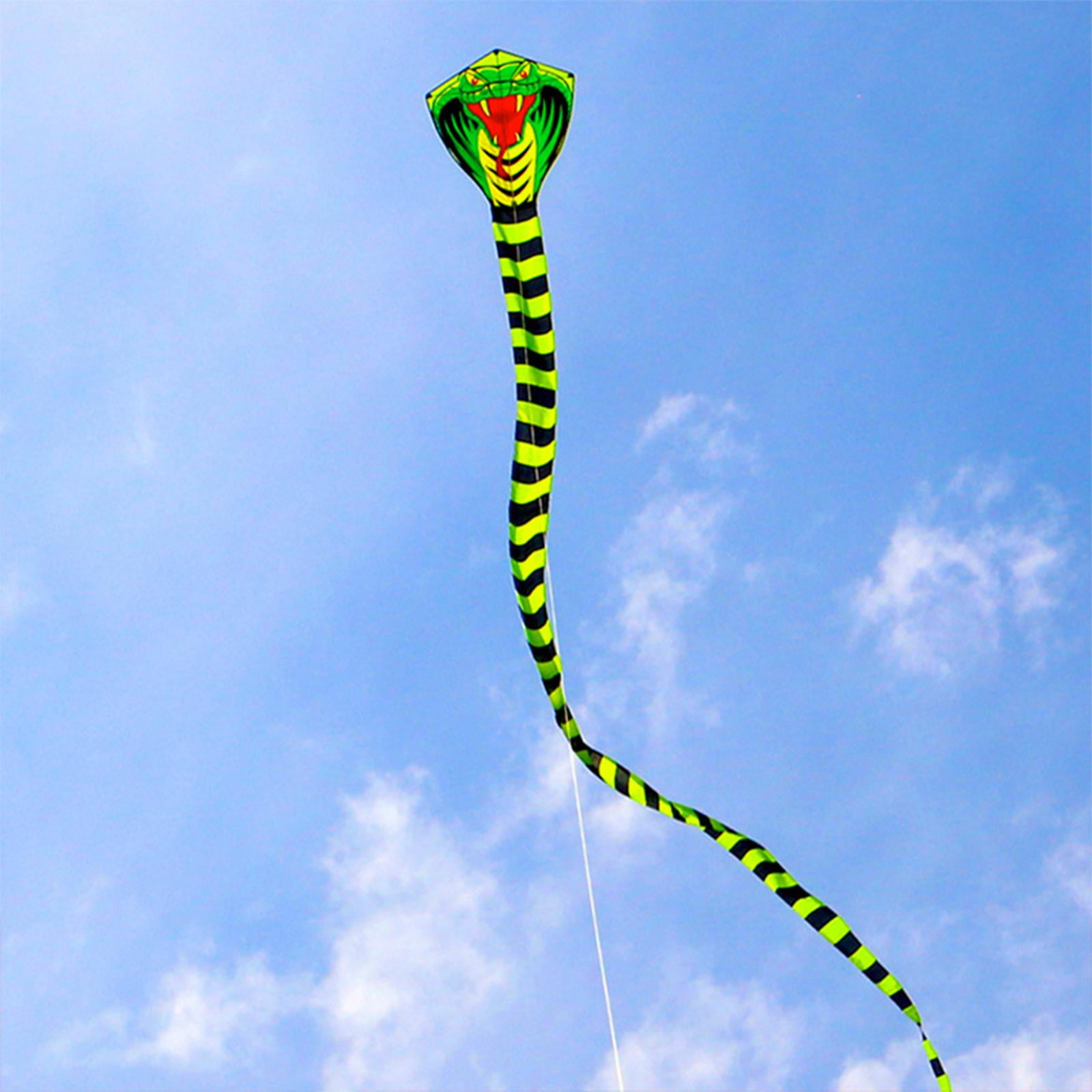 3D for Kids & Adults, Huge Animal with Tail for Beach Park family and