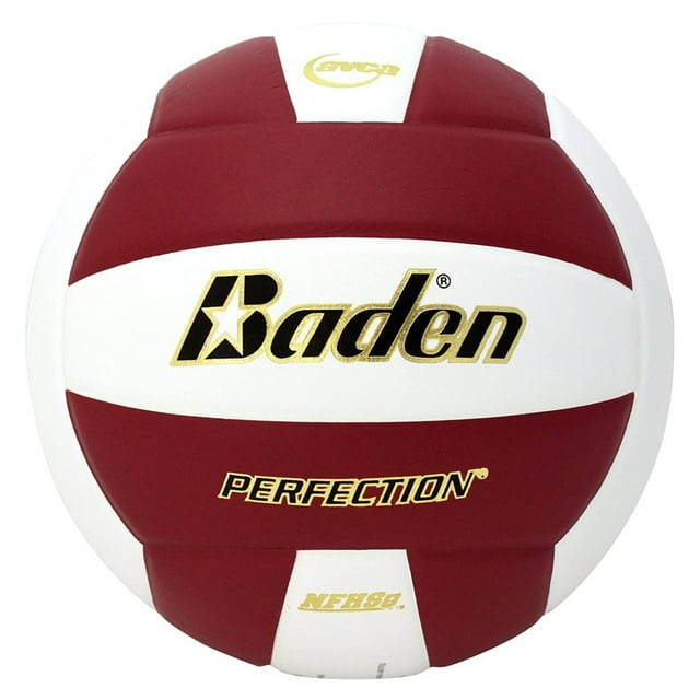 Baden PERFECTION Indoor Leather Volleyball - Official NFHS Approved Game Ball