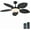 Black, variant on PHORUS 48'' Tropical Palm Leaf Ceiling Fan with LED Light, Remote & App Control, Quiet Reversible DC Motor, Dimmable Ambient Lighting, Indoor & Covered Outdoor Use