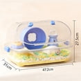 thumbnail image 2 of cage pour Hamster Transparente villa Ours Doré Boîte d'Alimentation Fournitures, 2 of 7