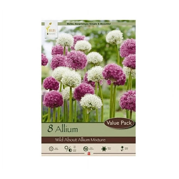 8 Wild About Allium Mix