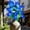 H, variant on Xheghe Realistic Artificial Silk Water Lilies for Home Decor, Wedding Table Arrangements, Office Centerpieces, Versatile Floral Decoration for Adults and Family