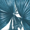 thumbnail image 3 of Pinto, Patricia 12x12 Black Modern Framed Museum Art Print Titled - La Palmera in Turquoise II, 3 of 5
