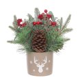 thumbnail image 1 of HOLIDAY TIME PL Christmas 12 in Cream Cement POT Arrangement, 1 of 5