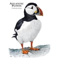 thumbnail image 3 of CafePress - Atlantic Puffin Mug - 11 oz Ceramic Mug - Novelty Coffee Tea Cup, 3 of 6
