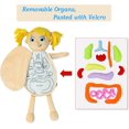 thumbnail image 4 of RV Juguetes anatómicos, órganos educativos para la primera infancia, juguetes de peluche, kits de aprendizaje de ciencias para estudiantes, ayuda para la enseñanza de la conciencia de los órganos del cuerpo (niñas) Rojo Verde, 4 of 5