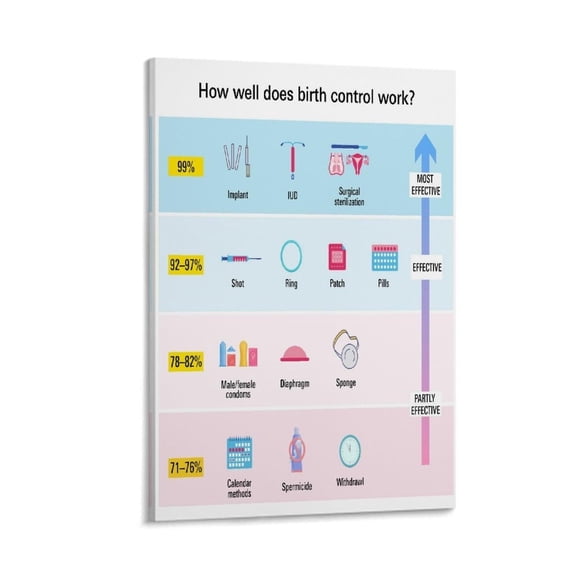 Contraception And Birth Control Guide  Science Knowledge Graphic Poster Bedroom Office Printed Canvas Wall Art Decoration Painting Poster
