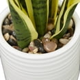 thumbnail image 4 of DecMode 17" Artificial Snake Plant in Realistic Leaves and White Porcelain Pot, 4 of 7