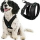 thumbnail image 1 of Arnés para perros Gooby Comfort X Head en negro para perros grandes, 1 of 5