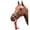 Red, variant on 8 ft. Beaded Rope Halter & Lead, Forest