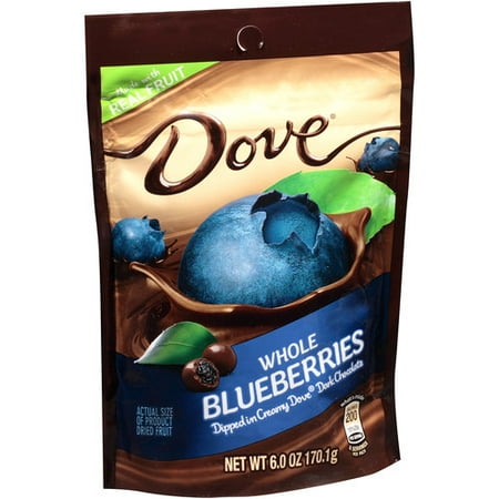 DOVE Fruit Dark Chocolate With Real Blueberries Snack Pouch, 6 oz - Walmart.com