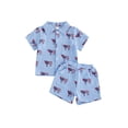 thumbnail image 2 of Cenuakty 2Pcs Toddler Boy Outfit 4th of July  Tops and Elastic Waist Shorts, 2 of 9