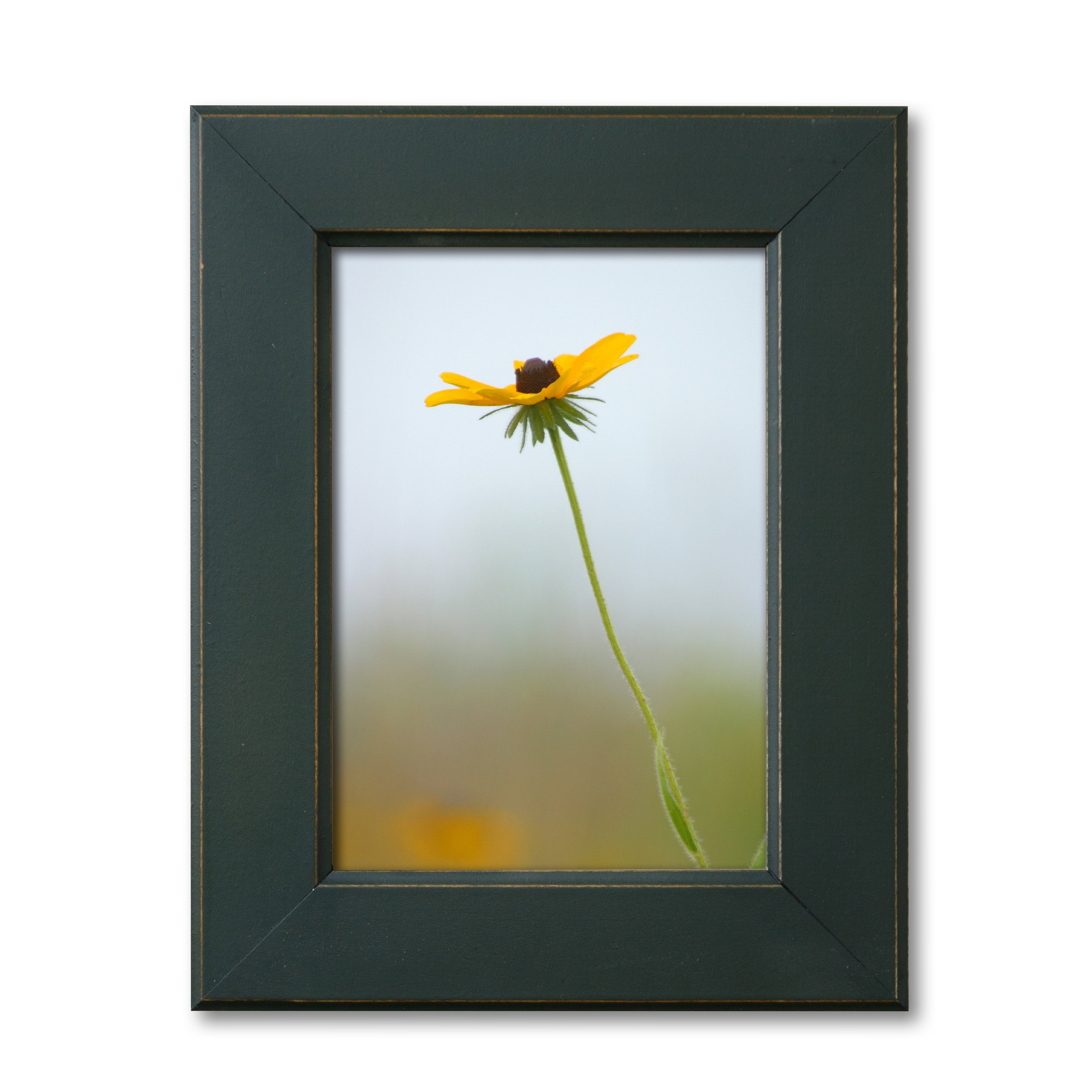 Furniture Pipeline Ambassador 2" Beveled Edge Solid Wood Frame 12" x 18"