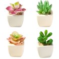 thumbnail image 1 of Mini potted plants plastic succulents home office decoration, 1 of 5