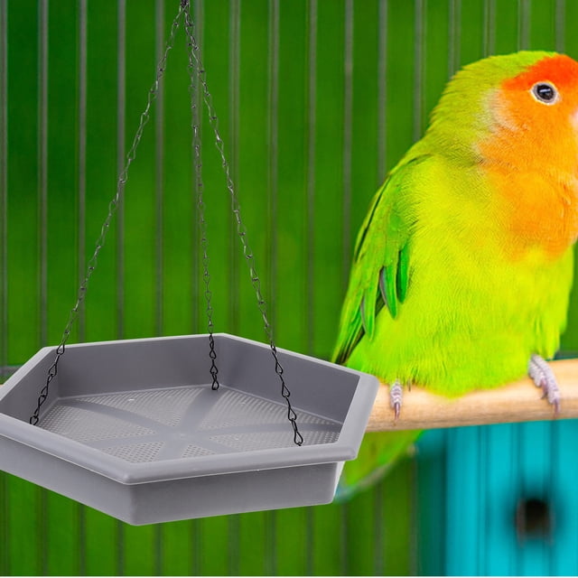 TEHAUX 1 Set Hanging Bird Feeders Durable Birds Water Feeders For Indoor Outdoor Use Easy To Clean Install