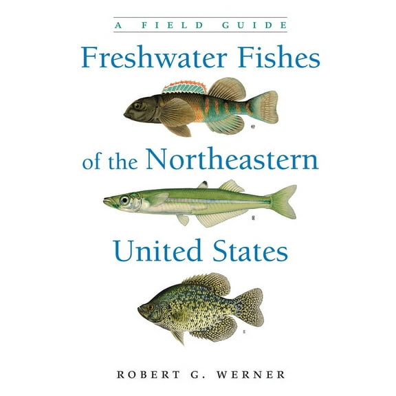 New York State Freshwater Fishes of the Northeastern United States: A Field Guide, (Paperback)