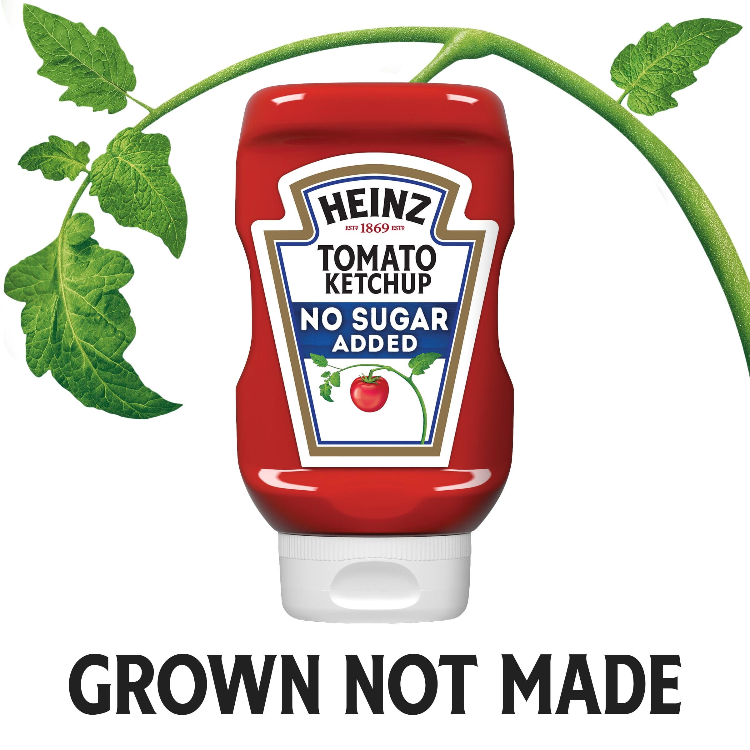 Less-Sugar Tomato Ketchup – Noble Made