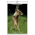 thumbnail image 6 of Famous Kitten Hang In There Poster Wall Poster with Magnetic Frame, 22.375" x 34", 6 of 6