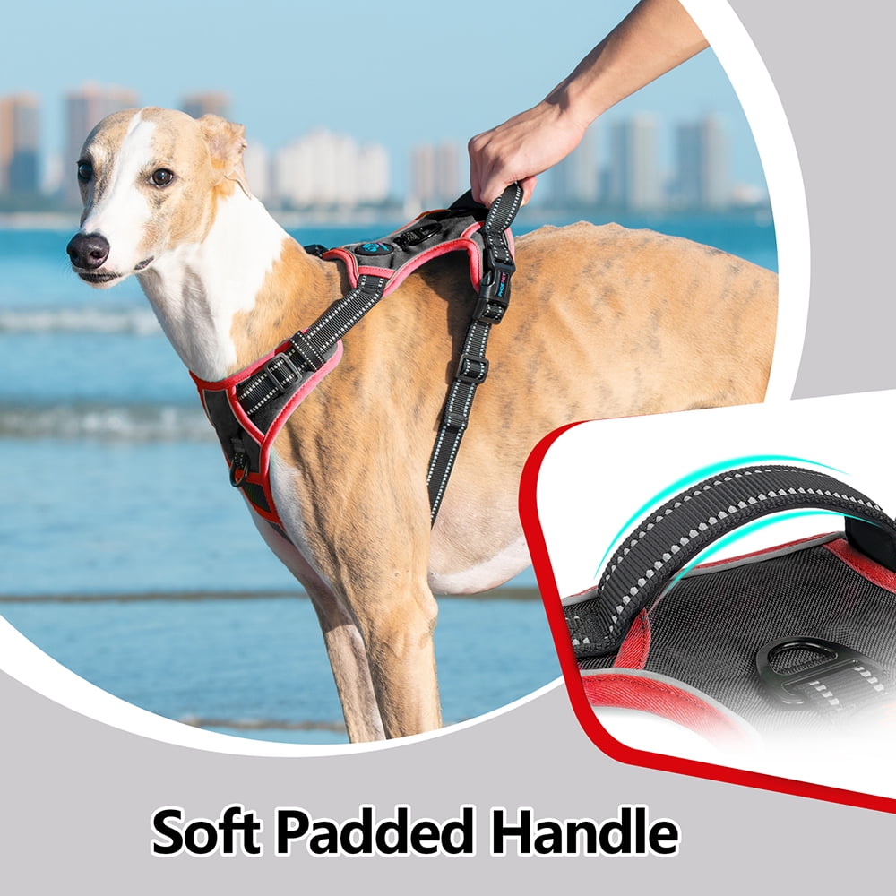 PHOEPET 2019 Upgraded No Pull Dog Harness, Reflective Adjustable Vest, with a Training Handle + 2 Metal Leash Hooks+ 3 Snap Buckles +4 Slide Buckles
